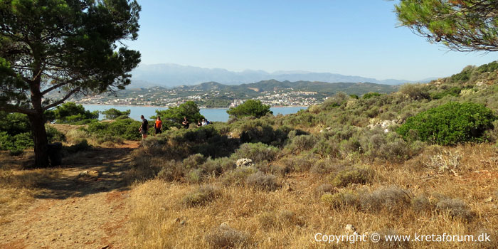 Udsigt over Agia Marina fra  Agii Theodori (gedeøen) - Crete - www.kretaforum.dk