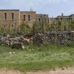 images/Gallery/Arkadi_klosteret/arkadi17.jpg