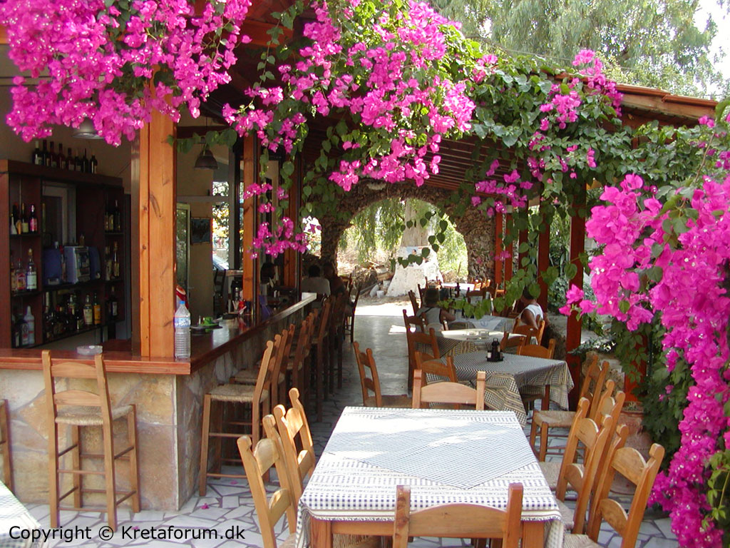 Græsk Tavern - Billedet er fra hotel Zorbas i Georgioupoli på Kreta