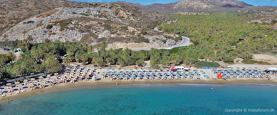 Vai Palmestrand på Kreta